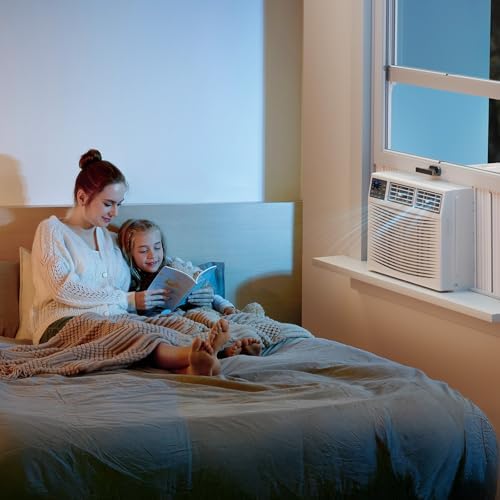 ROVSUN 8000 BTU Window AC with Heat and Smart Control