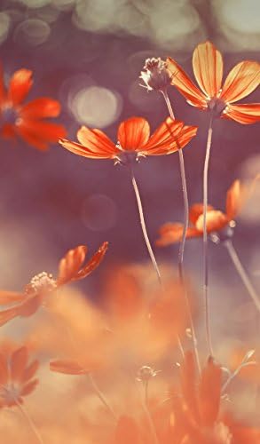 6 Pcs Artificial Calliopsis Flowers Warm Autumn Orange No Vase