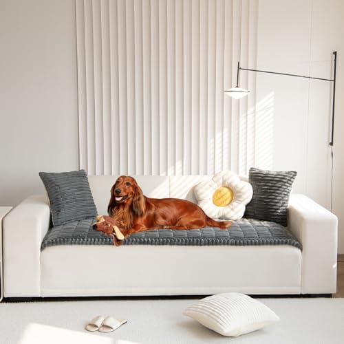 Pet Friendly Fuzzy Sofa Cover for Dogs 1