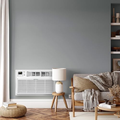 TCL H8T91H 8000 BTU Wall AC Unit with Heater
