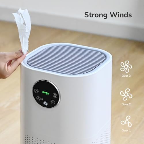 Air Humidifier Purifier 2-in-1 Ultra Quiet for Home Bedroom Office