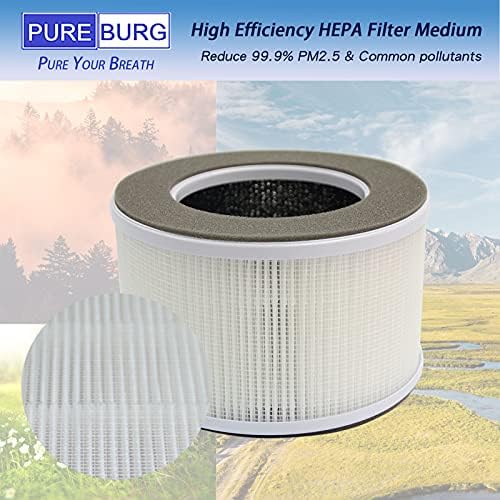 PUREBURG AP10-F3 Replacement Filter 2-Pack