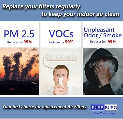 PUREBURG AP10-F3 Replacement Filter 2-Pack